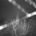 Webcam_20210101-050000