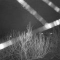 Webcam_20210101-051500