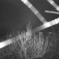 Webcam_20210101-053000