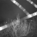 Webcam_20210101-054500