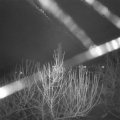 Webcam_20210101-061500