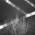 Webcam_20210101-064500