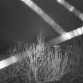 Webcam_20210101-071500
