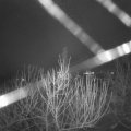 Webcam_20210101-073000