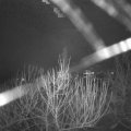 Webcam_20210101-074500