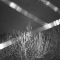 Webcam_20210101-080000