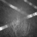Webcam_20210101-081500