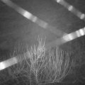 Webcam_20210101-083000