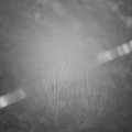 Webcam_20210101-084500