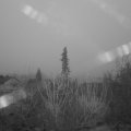 Webcam_20210101-090000