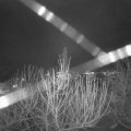 Webcam_20210101-213000