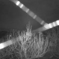Webcam_20210102-050000