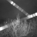 Webcam_20210102-061500