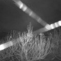 Webcam_20210102-064500