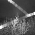 Webcam_20210102-073000