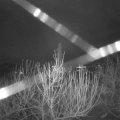 Webcam_20210102-074500
