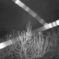 Webcam_20210102-081500