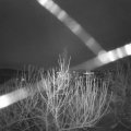 Webcam_20210102-083000