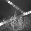 Webcam_20210102-184500