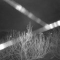 Webcam_20210103-050000