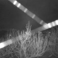 Webcam_20210103-051500