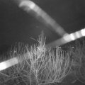 Webcam_20210103-054500