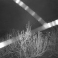 Webcam_20210103-061500