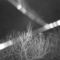 Webcam_20210103-070000