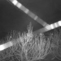 Webcam_20210103-074500