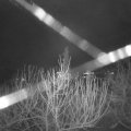 Webcam_20210103-080000