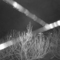 Webcam_20210103-081500