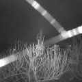 Webcam_20210103-083000