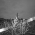Webcam_20210103-181500