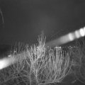 Webcam_20210103-183000