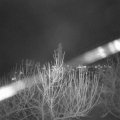 Webcam_20210103-193000
