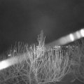 Webcam_20210103-211500