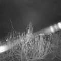 Webcam_20210103-220000