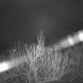 Webcam_20210104-051500