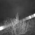 Webcam_20210104-053000