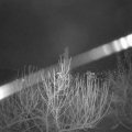 Webcam_20210104-054500