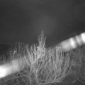 Webcam_20210104-060000