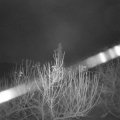 Webcam_20210104-061500