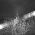 Webcam_20210104-063000