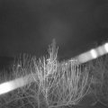 Webcam_20210104-064500
