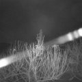 Webcam_20210104-070000