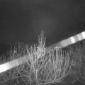 Webcam_20210104-071500