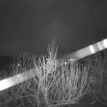 Webcam_20210104-083000