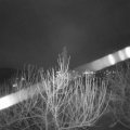 Webcam_20210104-183000