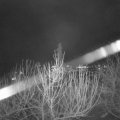 Webcam_20210104-190000