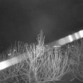 Webcam_20210104-191500